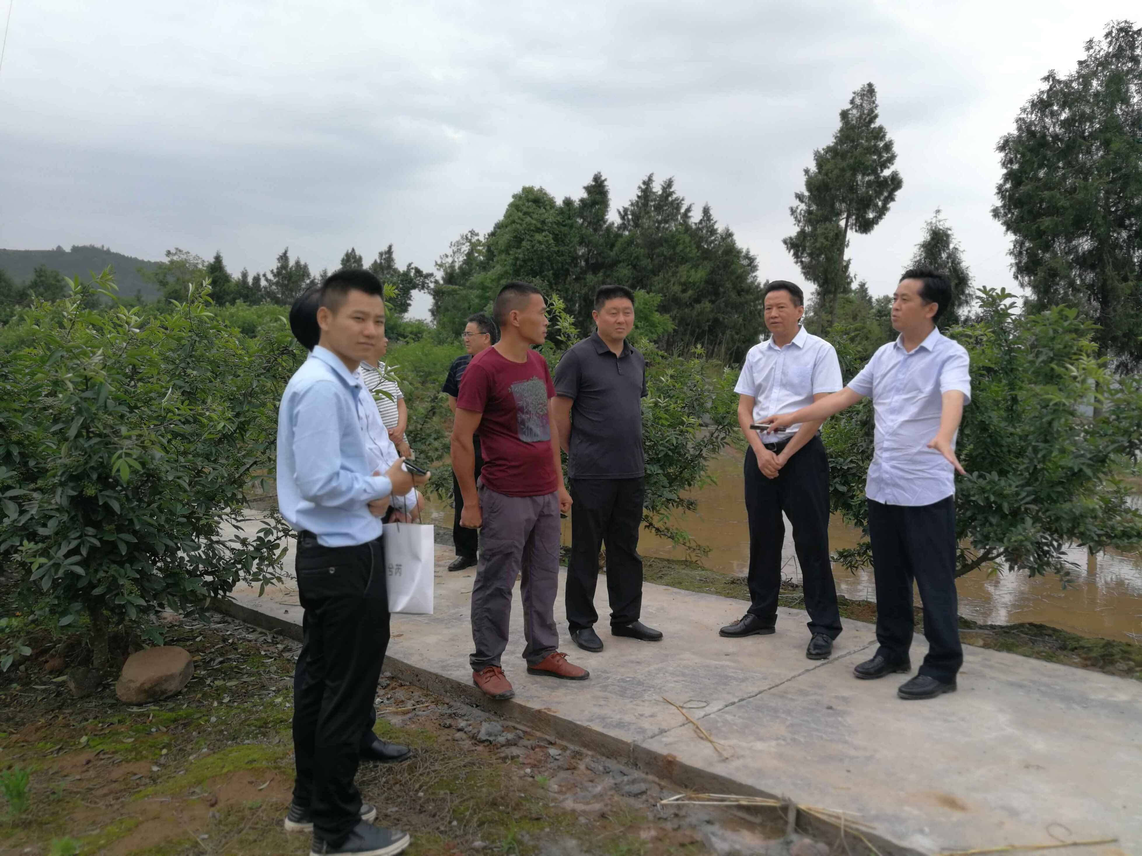 QQ图片20190528102108.jpg