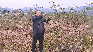 苟在乾：贴近群众服务基层  做合格人大代表