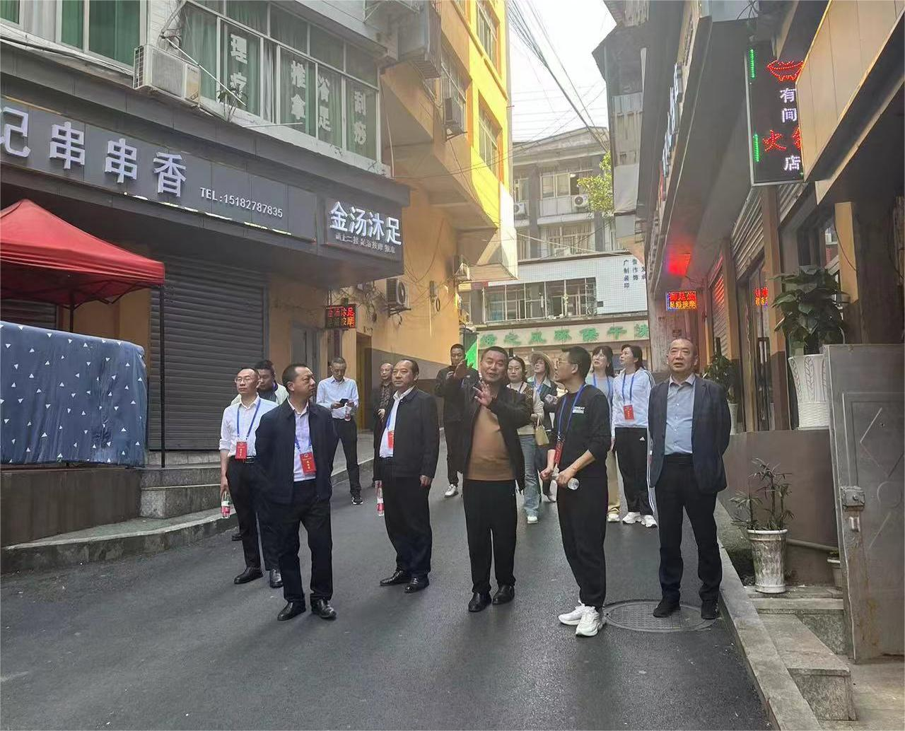 同洲人大工委视察.png